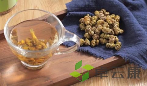 石斛茶