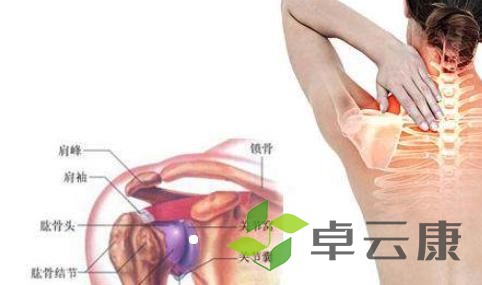 关节