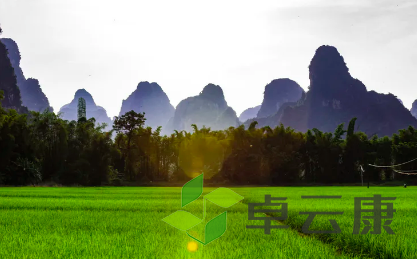 QQ截图20230401150206