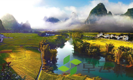 QQ截图20230401161318