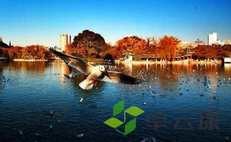 QQ截图20230402141030
