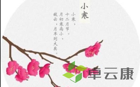 小寒