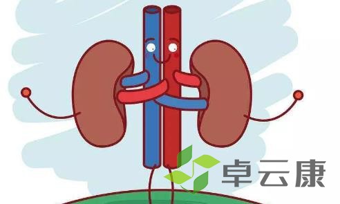 肾虚