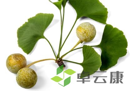 银杏果