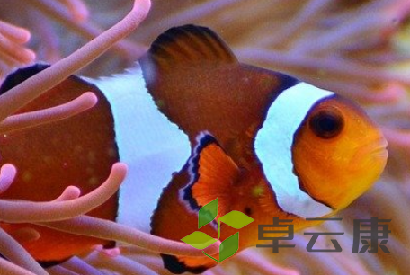 QQ截图20230403153453