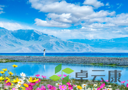QQ截图20230403154533
