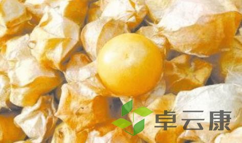 哥伦比亚龙珠果是什么