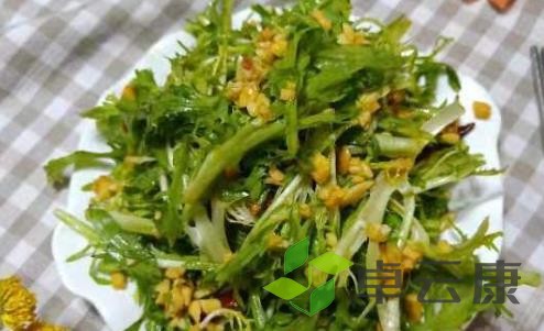 苦菊
