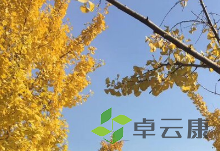 QQ截图20230404094343