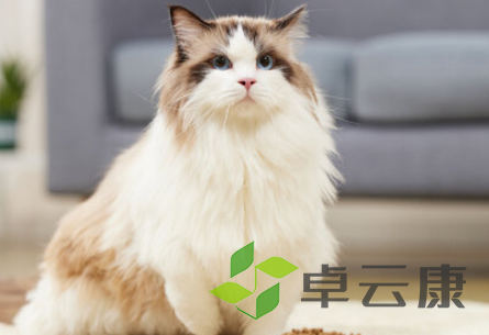 QQ截图20230404110627