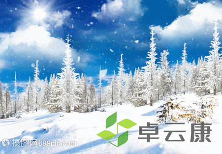 QQ截图20230404112928
