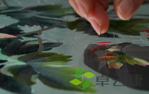 QQ截图20230405092250